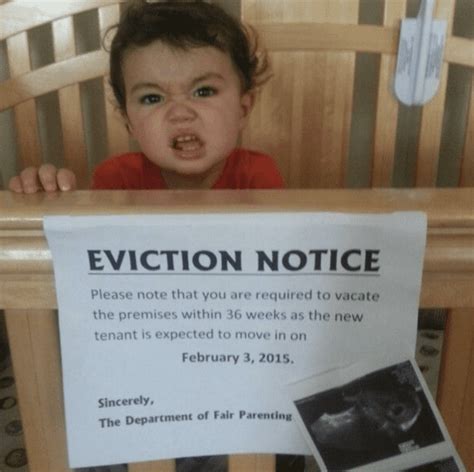 23 Funny Pregnancy Announcements That Will Have You Giggling Next Luxury