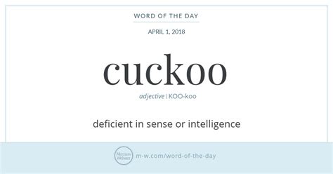 Word Of The Day Cuckoo Merriam Webster