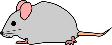 Free Mouse Clipart Cliparting Com