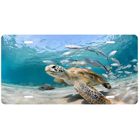 Personalized Custom Sea Turtle Novelty Front License Plate Etsy