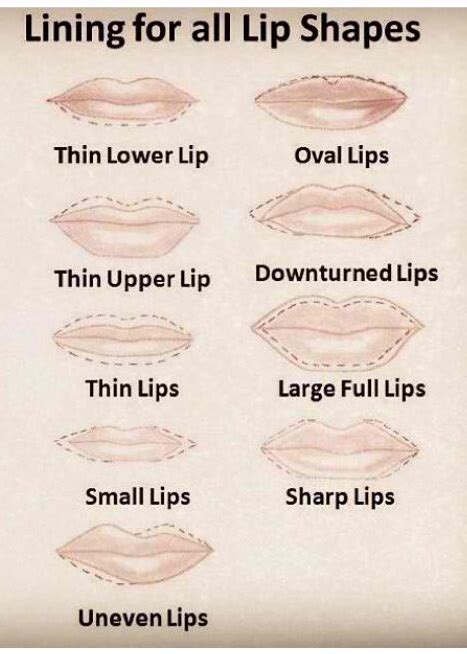 How To Contour Different Lips Shapes Alldaychic