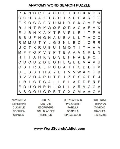 Word Search Puzzles Printable Bing Images Word Find Free Printable