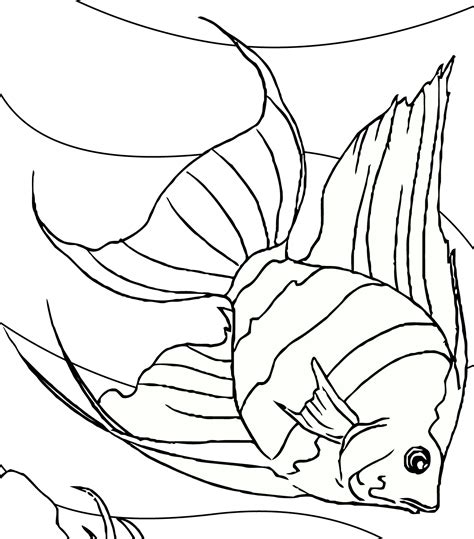 Gambar sketsa hitam putih pesawat luar angkasa mewarnai pinterest via pinterest.com. Gambar Mewarnai Hitam Putih Ikan Hias Air Tawar Untuk Anak SD TK PAUD Terbaru | gambarcoloring