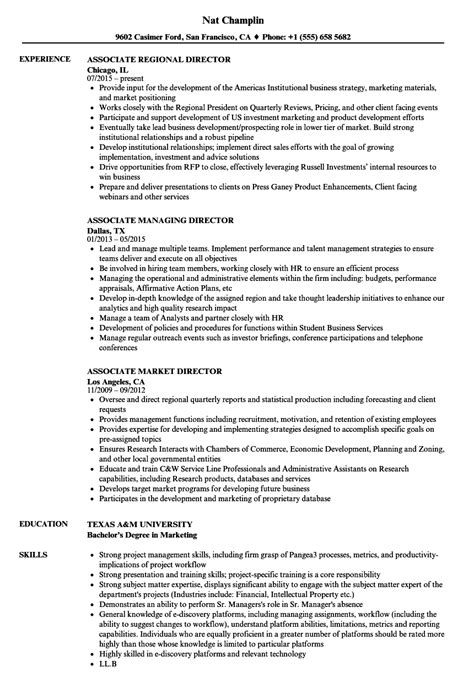 It Director Resume Sample