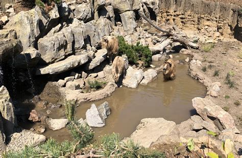 Omahas Henry Doorly Zoo Asian Highlands Actuzoo