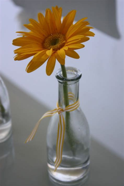 On which i have design it from inspiration of organic & natural form. Beautiful yellow gerbera in my single stem vase (avec images)