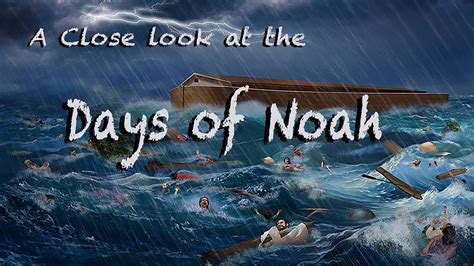What Happened The Day Noah Entered The Ark