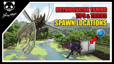 How To Tame A Rhyniognatha Tips And Trick For Easy Taming And Hunting