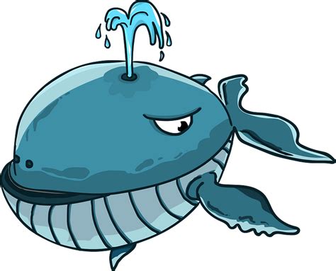 Cartoon Whale Clipart Free Download Transparent Png Creazilla