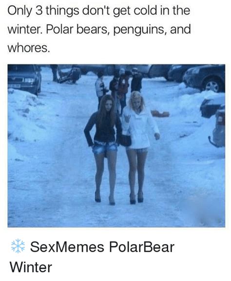 Only Things Dont Get Cold In The Winter Polar Bears Penguins And