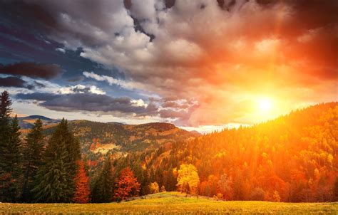 Wallpaper Autumn Forest The Sky Grass The Sun Clouds Trees