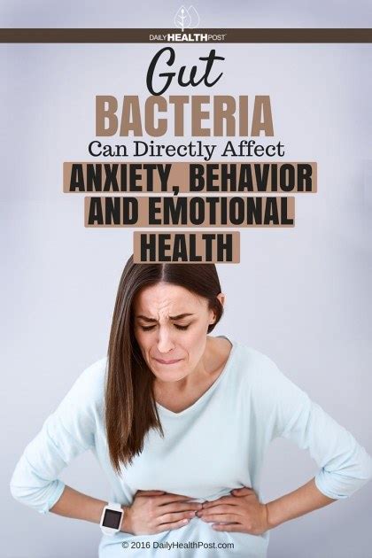 Gut Bacteria Can Affect Anxiety Behavior And Emotions