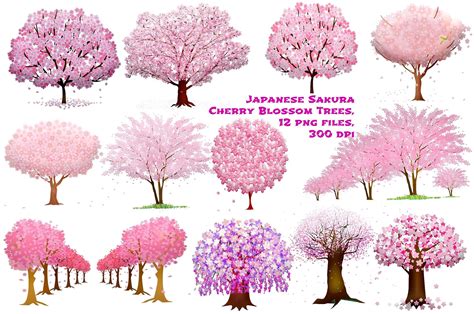 View 19 Cherry Blossom Tree Drawing Simple Sheetgraphicstock