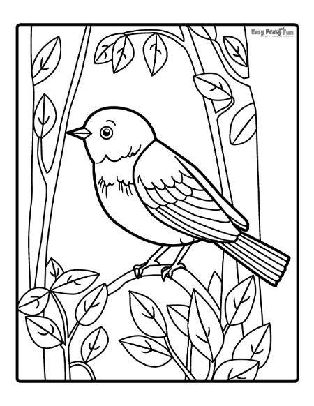 Bird Coloring Pages Printable