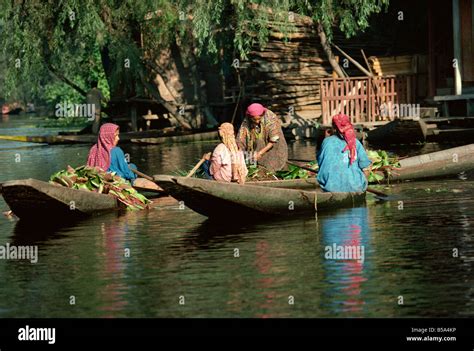 Kashmiri Hi Res Stock Photography And Images Alamy