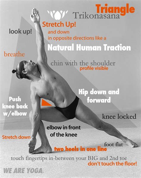 Health Blog — Give Your Spine A Good Stretch With The Triangle