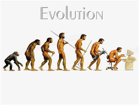 人类进化历程图png图片素材下载人类png熊猫办公