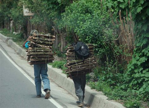 Cargando Le A Carrying Firewood En La Carretera A Nebaj Flickr