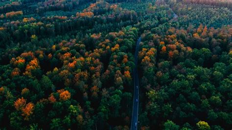Desktop Wallpaper Black Forest Germany Aerial View Road Trees