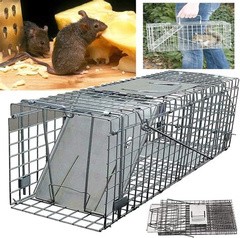 24 Rat Trap Mouse Traps Catch And Release Reusable Rat