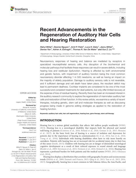 Pdf Recent Advancements In The Regeneration Of Auditory Hair Cells