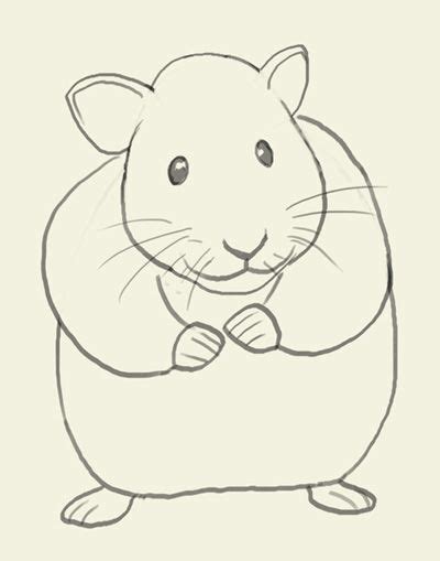How To Draw Hamster Easy Animal Drawings Drawings Hamster