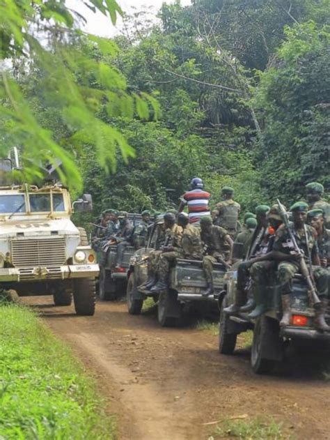 conflict in eastern congo forces see africa today