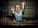 Kids in cages (30 pics)