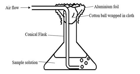 Setup Of Each Conical Flask Download Scientific Diagram