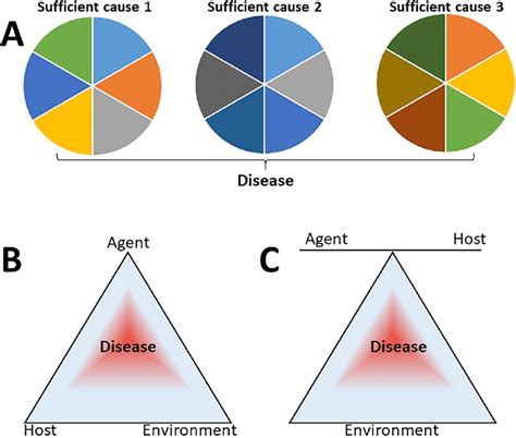 Models Of Disease Causation A The Rothman Pie 1 B C The