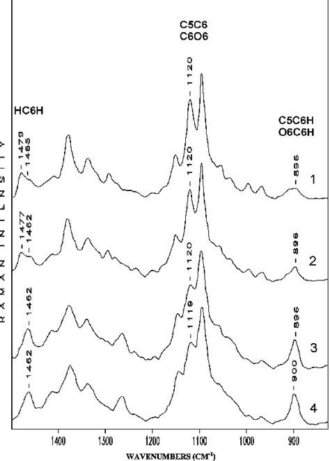 Raman Spectra Of Cellulose I Cellulose Regenerated After Sexiz Pix