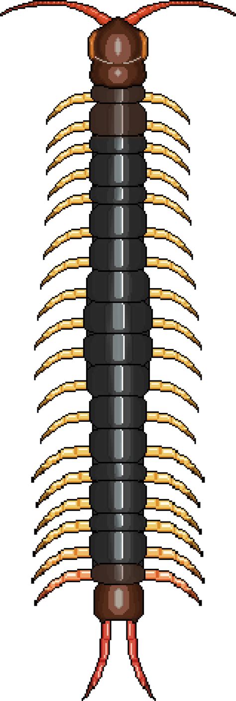 Centipede Pocketants Wiki Fandom
