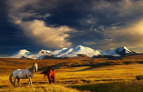 7 Reasons Mongolia Should Top Your 2017 Bucketlist Places To See In