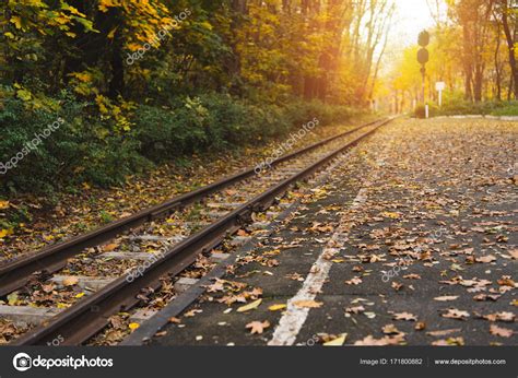 Railway Station In Autumn Forest Stock Photo By ©viktoriasapata 171800882