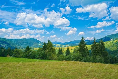 Premium Photo Mountain Landscape The Glade Is Covered With Grass On