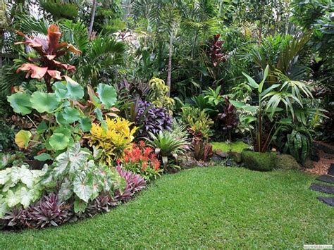 Backyard Idea Tropical Garden Design Backyard Idea Tropical Garden