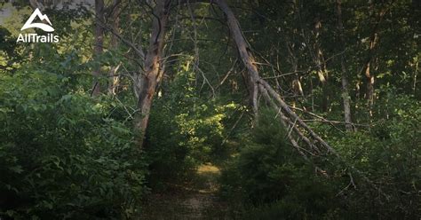 Check spelling or type a new query. Best Trails in Land Between the Lakes National Recreation ...