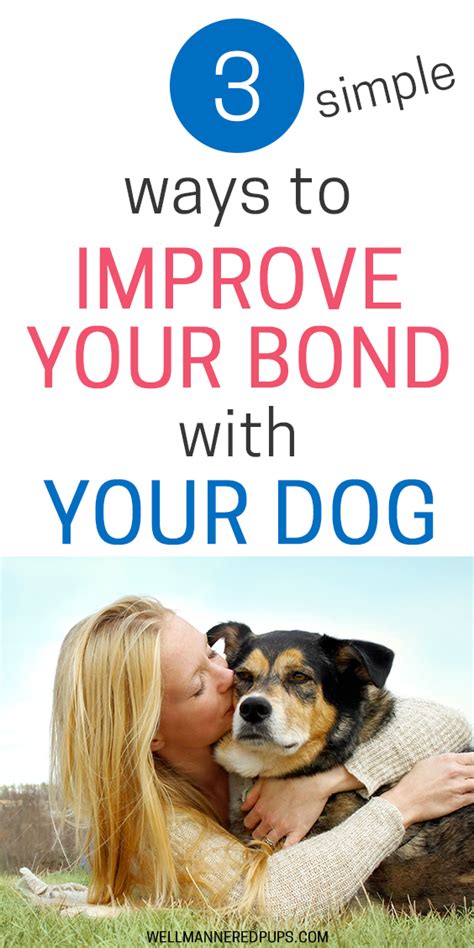 Three Ways To Have A Better Bond With Your Dog Well Mannered Pups