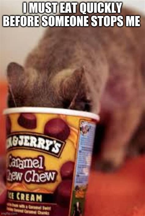 Image Tagged In Cats Eating Ice Cream Imgflip