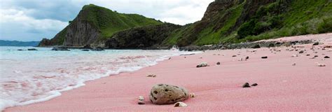 Stunning Pink Sand Beaches In The World To Experience