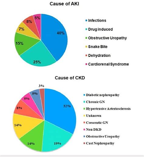 Etiology Of Aki And Ckd In Study Population Aki Acute Kidney Injury