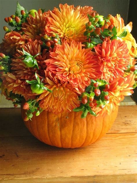 Mums In A Pumpkin Fall Ideas Pinterest