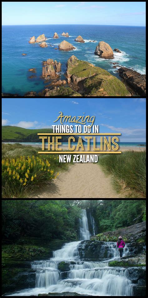 15 Amazing Things To Do In The Catlins New Zealand A First Timers Guide Mismatched