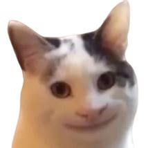 Discord Emoji Pop Cat Transparent Sad Get Sadge Emote Transparent Images