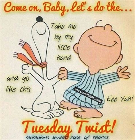 15+ funny quotes about tuesday: Image by Karen Slusser on Tuesday quotes | Happy tuesday quotes, Snoopy quotes, Tuesday quotes