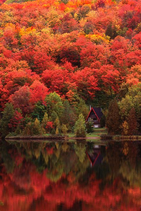 Autumn Colors Photograph Autumn At The Lake By Alan Marsh Cool