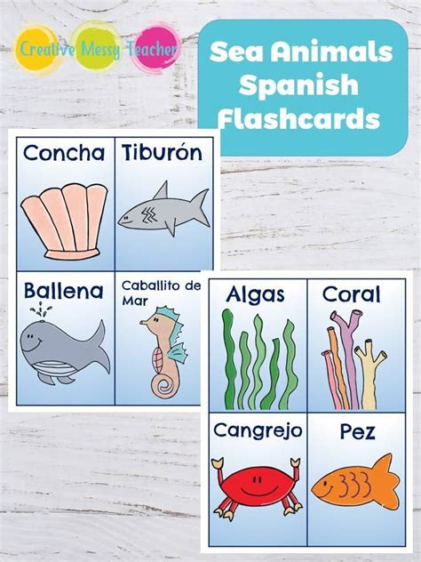 Sea Animals Spanish Flashcards Bilingual Marketplace