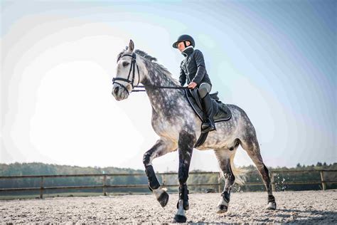 5 Reasons Why Horse Riding Is Good For Your Health