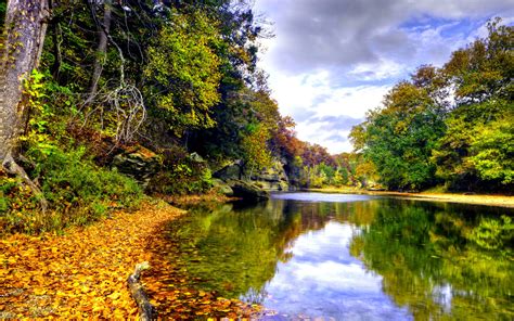 Landscape Autumn Mountain River Mirna Deciduous Forest In