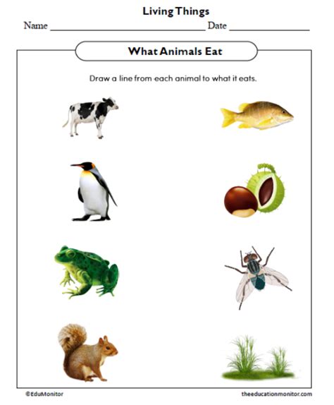 What Animals Eat Worksheet Edumonitor